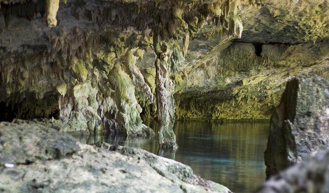 Dos Ojos Cenote Cavern Dive- The Barbie Line and The Bat Cave - Key Highlights You’ll Care About
