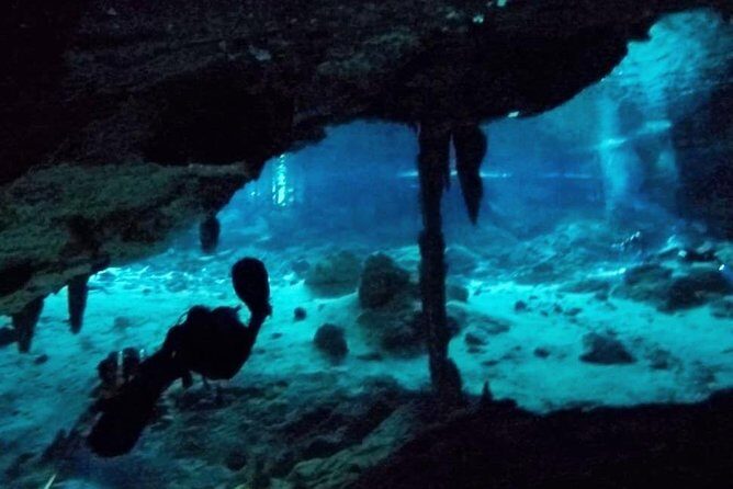 Dos Ojos Cenote Cavern Dive- The Barbie Line and The Bat Cave - Cavern Scuba at Dos Ojos: What the Barbie Line and Bat Cave Really Mean