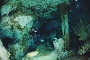 Dos Ojos Cenote Cavern Dive- The Barbie Line and The Bat Cave - Meeting in Tulum at 8:00 AM: How the Day Gets Organized