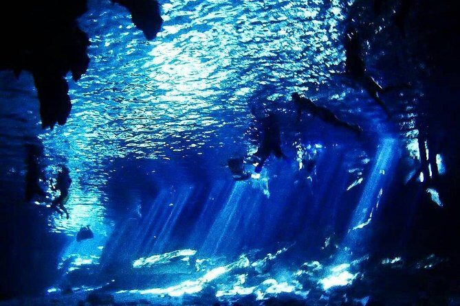 Dos Ojos Cenote Cavern Dive- The Barbie Line and The Bat Cave - The Second Underwater Chapter: Bat Cave Atmosphere and the Value of a Guide