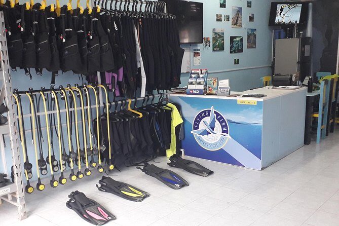 Dos Ojos Cenote Cavern Dive- The Barbie Line and The Bat Cave - If You Need a Refresher: Casa Cenote Before Dos Ojos
