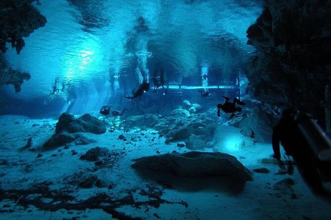 Dos Ojos Cenote Cavern Dive- The Barbie Line and The Bat Cave - Who Should Book This Experience (and Who Might Reconsider)