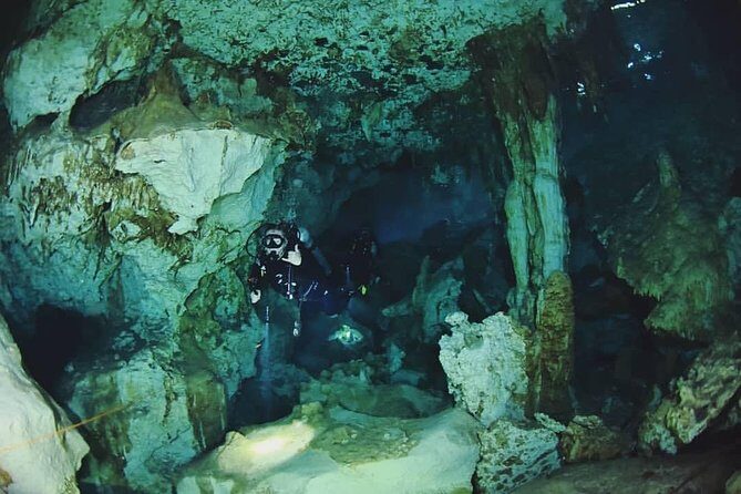 Dos Ojos Cenote Cavern Dive- The Barbie Line and The Bat Cave - Meeting in Tulum at 8:00 AM: How the Day Gets Organized