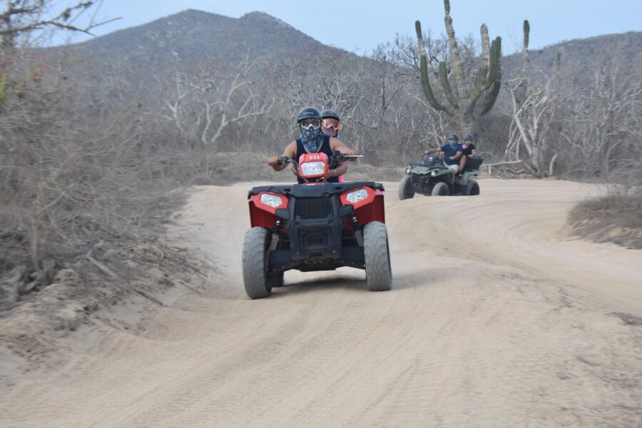 Double ATV Migriño Beach & Desert - Who Should Book This ATV Tour (and Who Should Skip It)