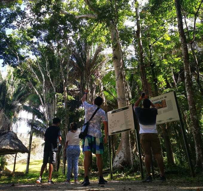 Dzibanche & Kohunlich Mayan Archeology Tour & 3 course Meal - What to pack for monkeys, rain, and ruin walking