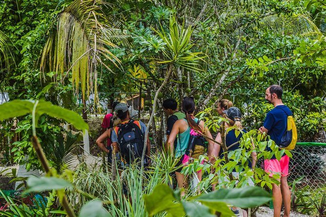 E-Bike Adventure in Cozumel - West Side Ride N' Snorkel - Who this tour fits best (and who should skip it)