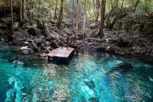 E-bike cenote jungle city tour in Playa del Carmen - From 5th Avenue to Jungle Trails: How the Route Really Feels