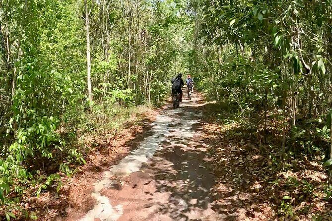 E-bike cenote jungle city tour in Playa del Carmen - Jungle Cenote Time: Snorkel, Dock Jumps, and Photo Stops