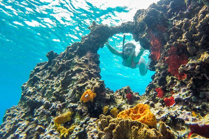 E-bike West Coast Snorkeling Tour - The value math: why $73 can work on a half-day
