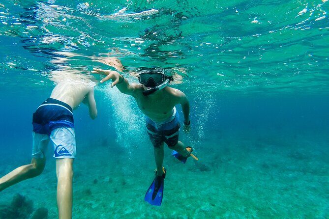 E-bike West Coast Snorkeling Tour - Mi Mexico Lindo tequila tour: a one-hour taste of local production