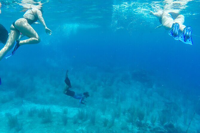E-bike West Coast Snorkeling Tour - Guides and group feel: small, structured, and attentive