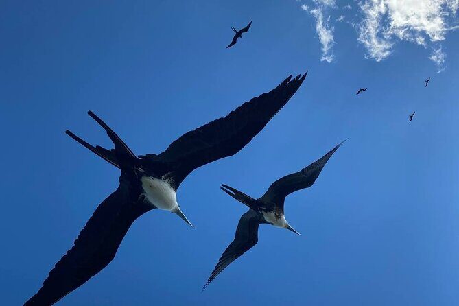 Eco Safari through the Ria Lagartos Natural Park - Stop 1: welcome with Uriel Massa (and why that 10 minutes matters)
