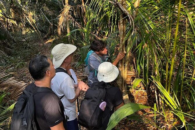 EcoHike to private beach, Jungle Walk to see plants & animals - Jungle walk: birds, plants, and the practical stuff your guide points out