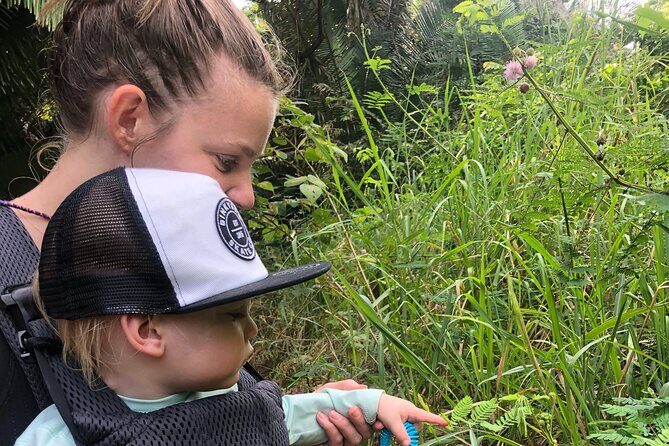 EcoHike to private beach, Jungle Walk to see plants & animals - Beach break: the postcard moment, plus whale-spotting potential