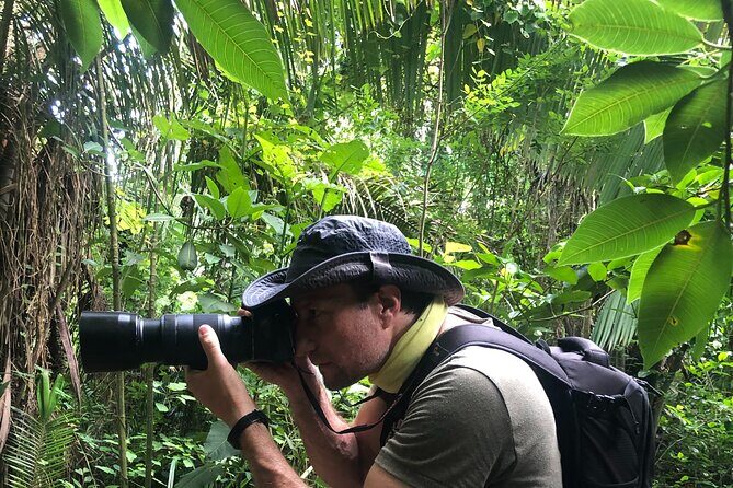EcoHike to private beach, Jungle Walk to see plants & animals - Price and value: why $33.22 can feel fair here