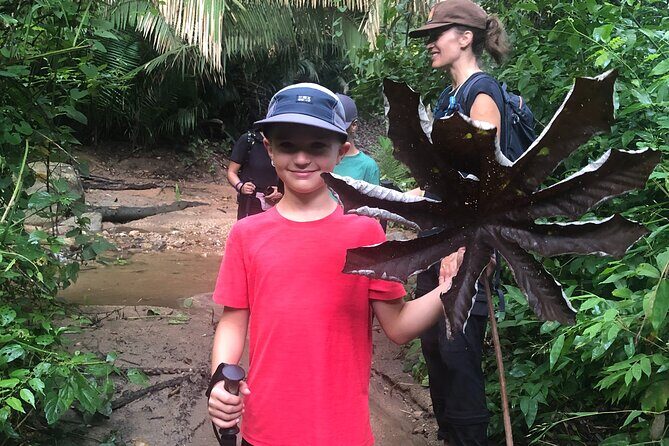 EcoHike to private beach, Jungle Walk to see plants & animals - What to bring: heat, mosquitoes, and the small choices that change everything