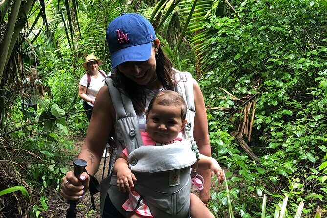 EcoHike to private beach, Jungle Walk to see plants & animals - The route at a glance: 5.5 km, 60 m climb, and what moderate actually means