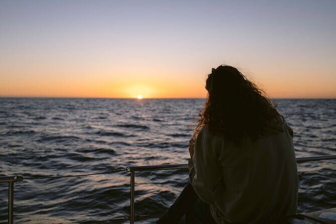 Educational Sunrise Whale Watching with Photos Included - Why this Cabo sunrise whale watch feels different than a regular boat tour