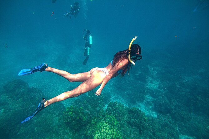 El Cielo Cozumel Snorkel Private Boat + Food + Drinks + Beach - Who should book this private snorkeling boat (and who should pause)