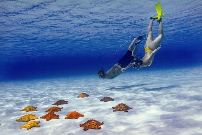 El Cielo Cozumel Snorkel Share Boat + Reefs + Food Drinks + Beach - San Francisco Beach Club: where the day starts (and why it matters)