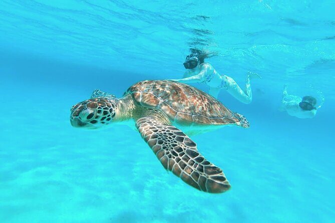 El Cielo Cozumel Snorkel Share Boat + Reefs + Food Drinks + Beach - Colombia reef and the multicolored fish moment