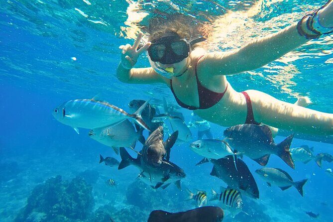 El Cielo Cozumel Snorkel Share Boat + Reefs + Food Drinks + Beach - El Cielo Cozumel: starfish at a natural sanctuary