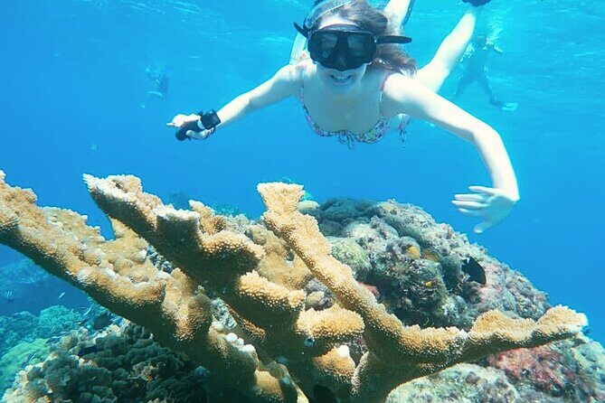 El Cielo Cozumel Snorkel Share Boat + Reefs + Food Drinks + Beach - Snorkel gear, boat size, and why the group really feels small