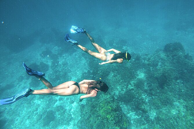 El Cielo Cozumel Snorkel Share Boat + Reefs + Food Drinks + Beach - Getting in the water: what the equipment likely covers (and what you should bring)