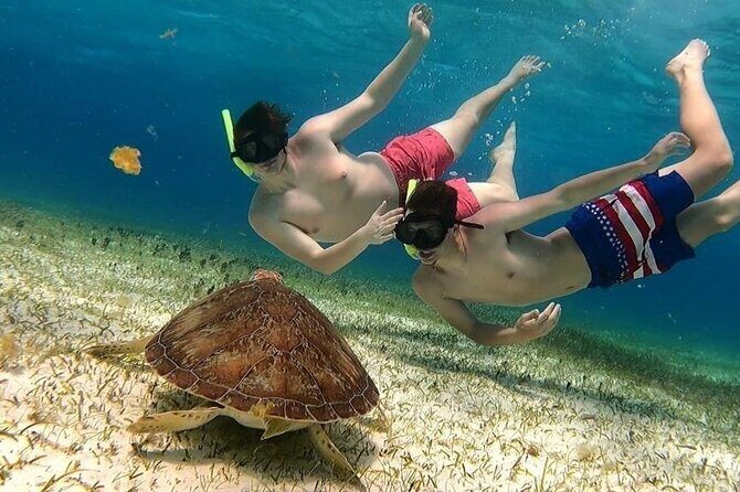 El Cielo Cozumel Snorkel tour by Catamaran - Key highlights at a glance
