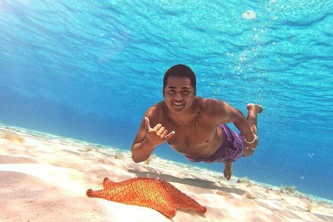 El Cielo Cozumel Snorkel tour by Catamaran - Cozumel reef time: why El Cielo usually feels special