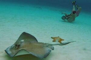 El Cielo Cozumel Snorkel tour by Catamaran - Marina Cozumel meeting point and getting on board on time