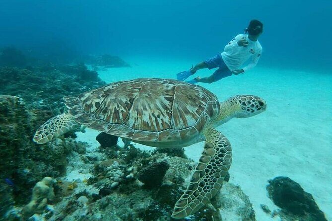 El Cielo Cozumel Snorkel tour by Catamaran - On-board vibe: catamaran comfort, music, and drinks