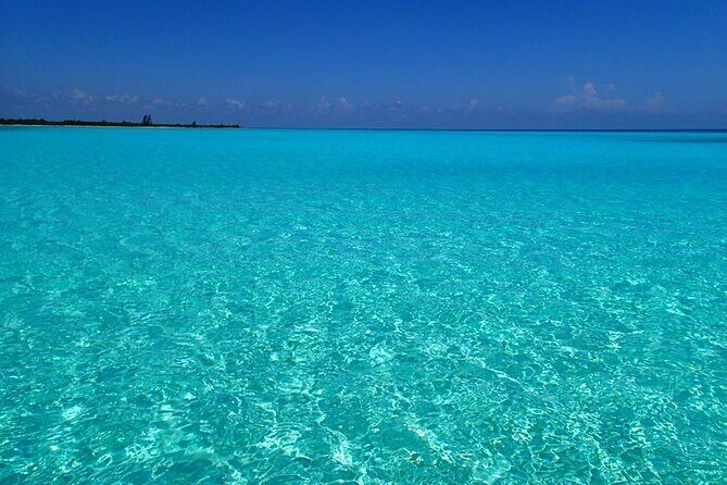 El Cielo Cozumel Snorkeling Tour - All-Inclusive - Reef Stops: Palancar, Colombia, and the Arrecifes de Cozumel Factor