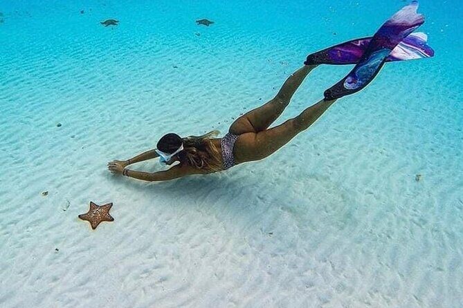 El Cielo Cozumel Snorkeling Tour - All-Inclusive - Crew and the Snorkeling Experience: From Simon to Poncho