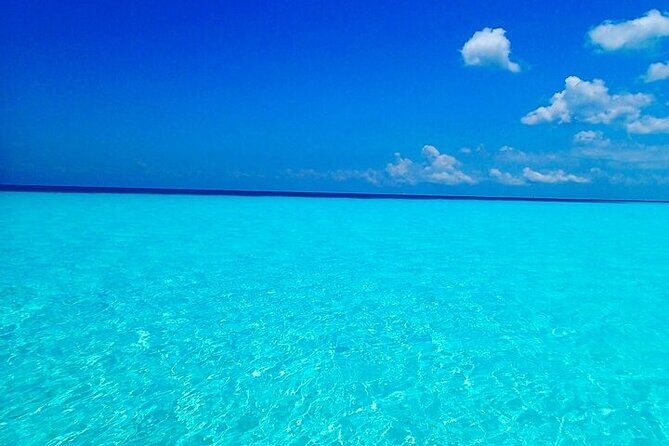 El Cielo Cozumel Snorkeling Tour - All-Inclusive - Price and Value: Where This Tour Pays Off