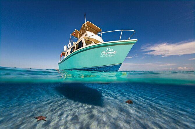 El Cielo Cozumel Snorkeling Tour - All-Inclusive - Pickup and Meeting: Licensed Transport Means Fewer Headaches