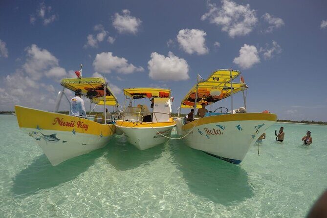 El Cielo Cozumel Snorkeling tour by Private Boat - Getting to Marina Cozumel from Cruise Ports Without Losing Your Time