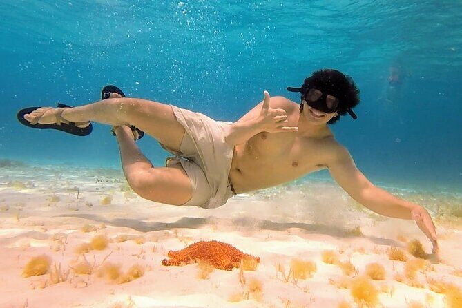 El Cielo Cozumel Snorkeling tour by Private Boat - Boat Comfort and Practical Limits You Should Know