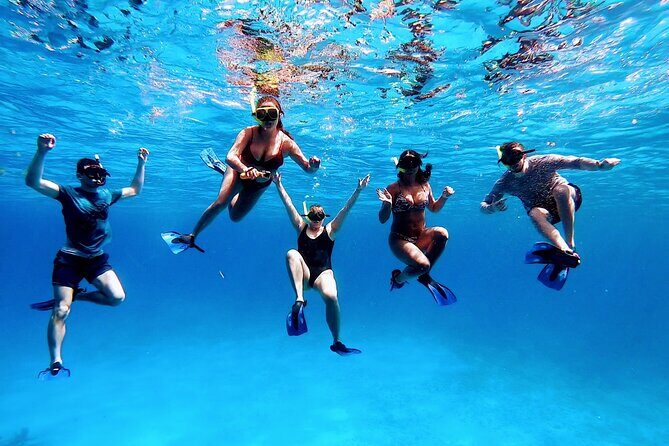 El Cielo Cozumel Snorkeling tour by Private Boat - Who Should Book This Tour (and Who Might Skip It)