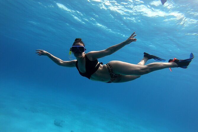 El Cielo Cozumel Snorkeling tour by Private Boat - The 4-Hour Route: El Cielo Starfish Beach Plus a Reef Circuit