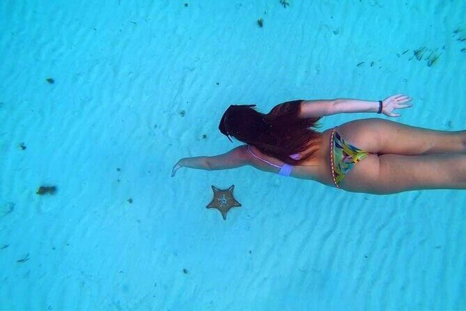 El Cielo Cozumel Snorkeling trip by Catamaran - El Cielo Cozumel by Catamaran: what this half-day really buys you