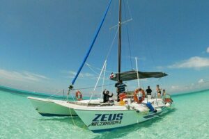 El Cielo Cozumel Snorkeling trip by Catamaran - Snorkeling setup and what to expect in the water