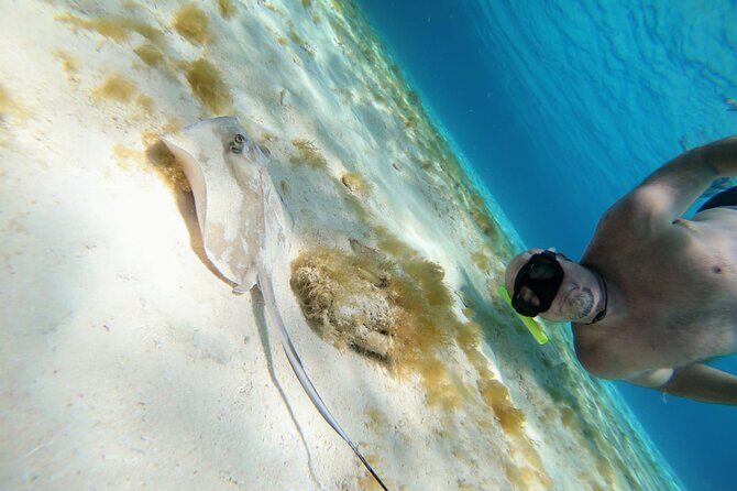 El Cielo Cozumel Snorkeling trip by Catamaran - Price and value: $95 plus the marine fee math