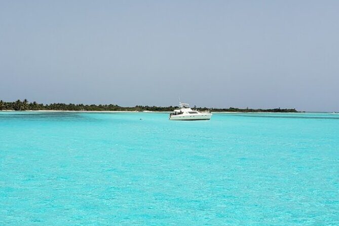 El Cielo Palancar and Columbia Snorkeling Tour - Stop 2: Columbia Reef and the Advantage of Coral Near the Surface