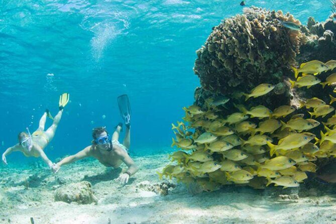 El Cielo Palancar and Columbia Snorkeling Tour - Food, Drinks, and the Pace Between Reefs
