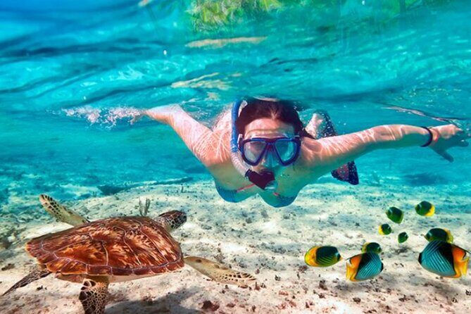 El Cielo Palancar and Columbia Snorkeling Tour - Choppy-Water Reality Check: Motion Sickness and Who This Is For