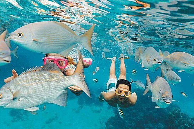 El Cielo Palancar and Columbia Snorkeling Tour - Meeting Point at Asta Bandera and the Simple Town-to-Boats Setup