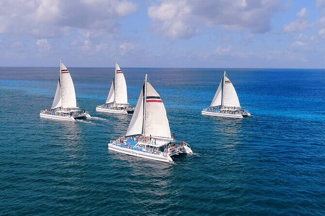 El Cielo, Palancar Snorkel & Beach Party Experience - From Saltwater to Shore: The Private Beach Party Setup