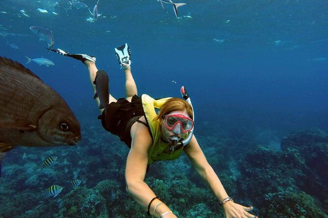 El Cielo Snorkel by Private Boat - Stop 1: Chankanaab Reef and Why It’s a Smart First Bite