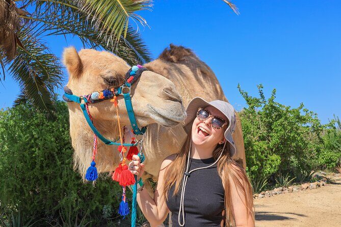 Electric Bike and Beach Camel Ride with Mexican Buffet Lunch - Price and Value: What $129 Really Buys in Cabo